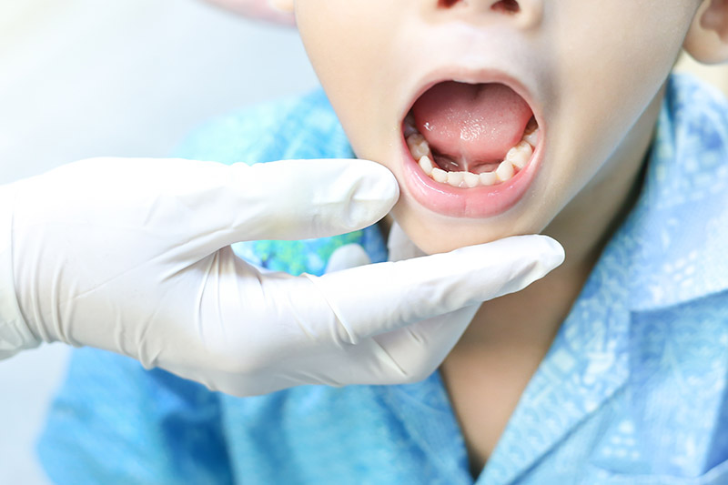 General Dentist Greenwood